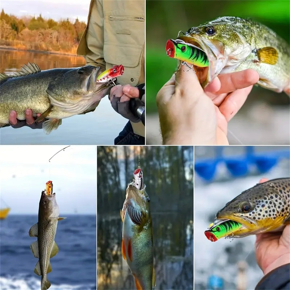 5 pezzi esche da pesca popper  - 3D Printing Lure recensione e prezzo