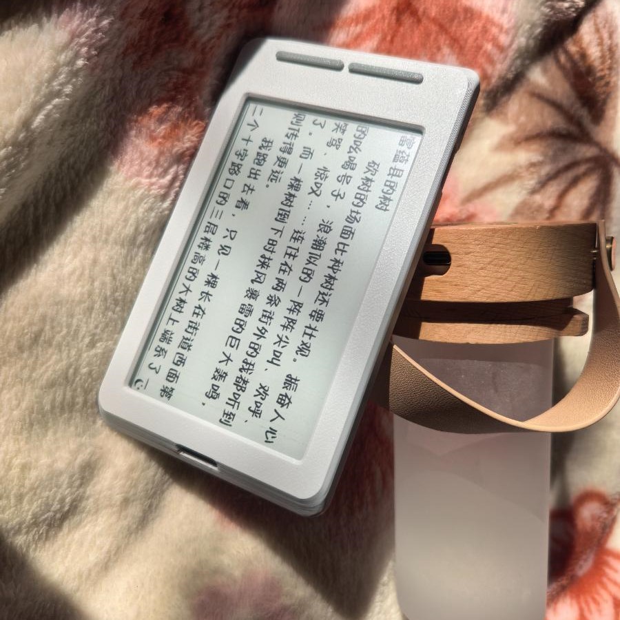 Per XTEINK X4 E-Ink Reader, Co - 3D Printing Housing recensione e prezzo