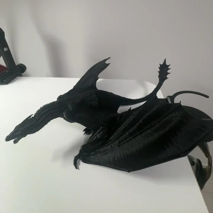 Modello di Drago Stampato in 3 - 3D Printing For Dummies recensione e prezzo
